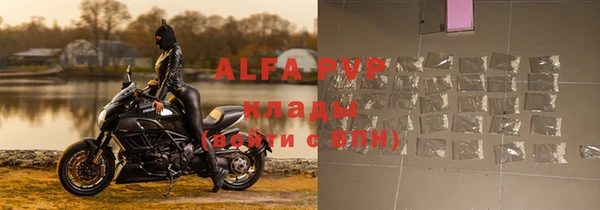 стаф Абинск